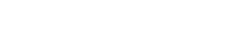 solydari logo blanc